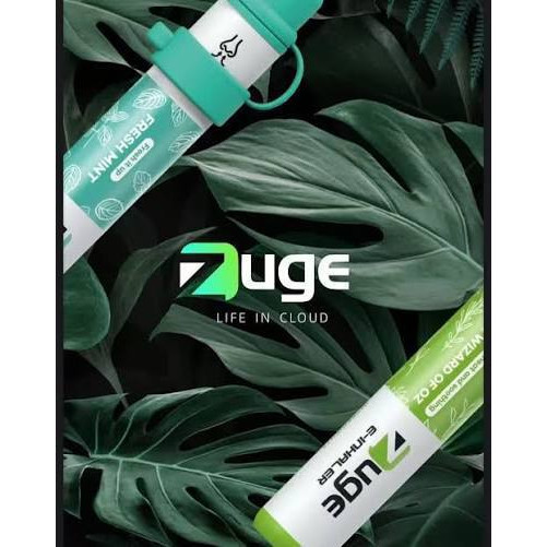 <p><strong>ZUGE 鼻通器<br />
拋棄式/一次性</strong></p>